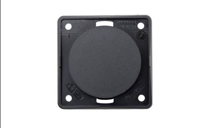 Berker Blanking Plate