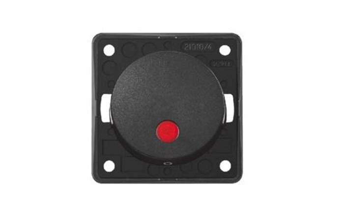 Berker Double Pole Rocker Switch with Lens