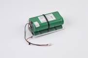 AS310/300 Alarm Battery