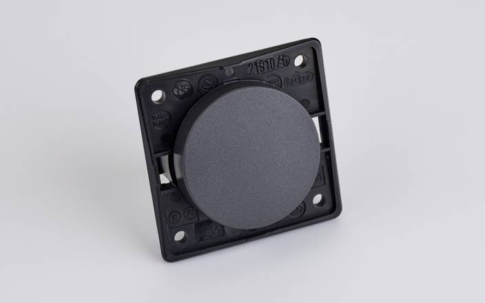 Berker Single 12v Switch