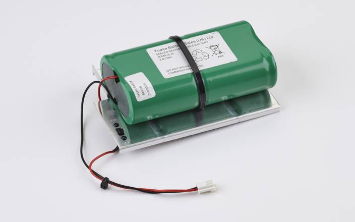 AS310/300 Alarm Battery